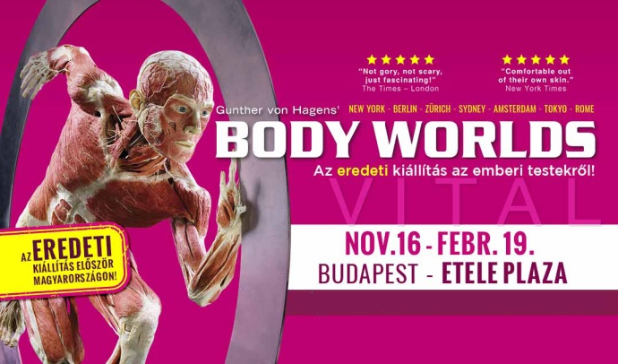 BODY WORLDS kiállítás emberi testről az Etele Pálázában! Jegyvásárlás és jegyárak itt!